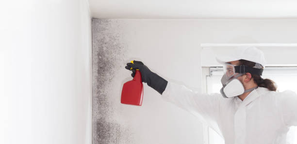 Best Mold Testing  in Beverly Hills, TX